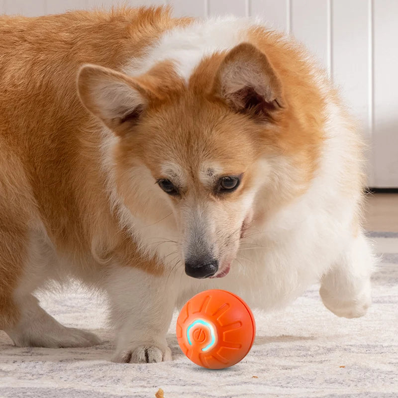 Smart Automatic Moving Dog Toy Ball