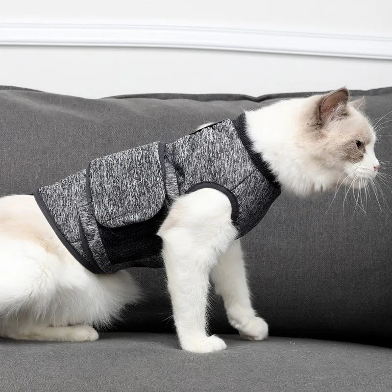 Pet Recovery Suit for Cats & Dogs