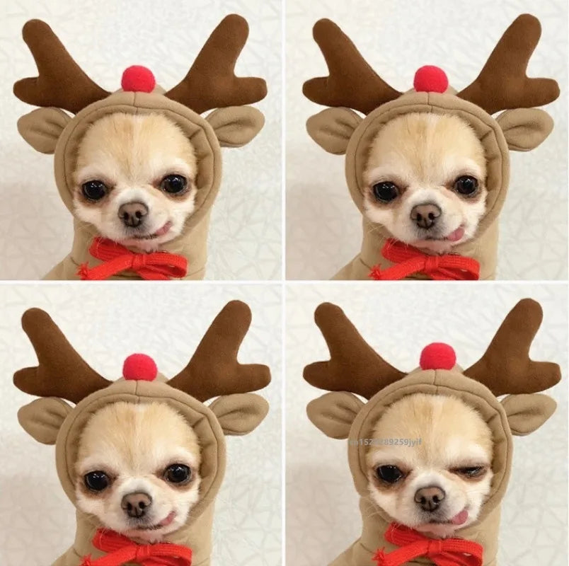 Christmas Dog Winter Hoodie Coat