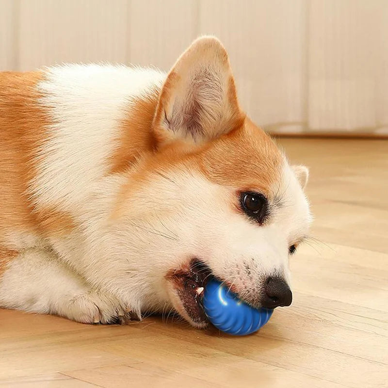 Smart Automatic Moving Dog Toy Ball